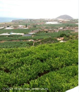 ¡Fantastica finca en BUENAVISTA DEL NORTE! - SANTA CRUZ DE TENERIFE