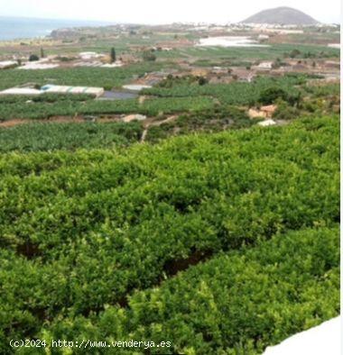 ¡Fantastica finca en BUENAVISTA DEL NORTE! - SANTA CRUZ DE TENERIFE