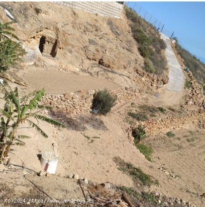 ¡Estupenda finca rustica en GÜIMAR! - SANTA CRUZ DE TENERIFE