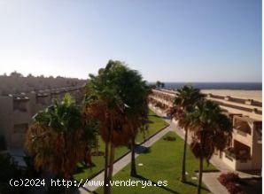 ¡Magnifico dúplex en EL MÉDANO! - SANTA CRUZ DE TENERIFE