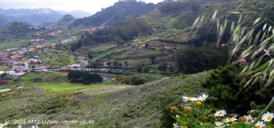 ¡Hermosa casa/finca en LA VICTORIA DE ACENTEJO! - SANTA CRUZ DE TENERIFE