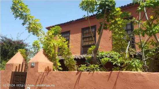 ¡Casa antigua con terreno en ICOD DE LOS VINOS! - SANTA CRUZ DE TENERIFE