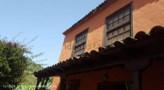 ¡Casa antigua con terreno en ICOD DE LOS VINOS! - SANTA CRUZ DE TENERIFE