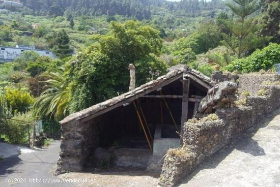 ¡Casa antigua con terreno en ICOD DE LOS VINOS! - SANTA CRUZ DE TENERIFE