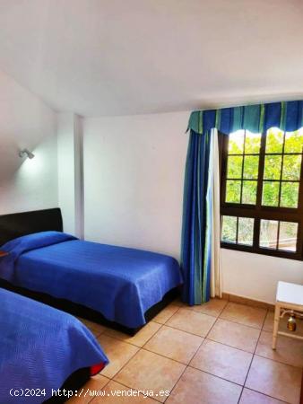 !Acogedor apartamento en LOS CRISTIANOS! - SANTA CRUZ DE TENERIFE