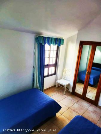 !Acogedor apartamento en LOS CRISTIANOS! - SANTA CRUZ DE TENERIFE