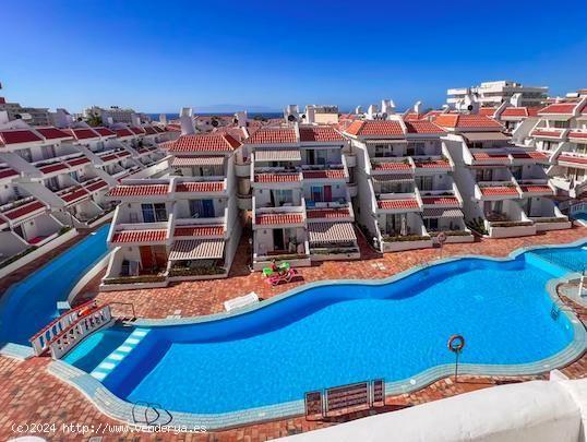 !Precioso apartamento en LAS AMERICAS! - SANTA CRUZ DE TENERIFE