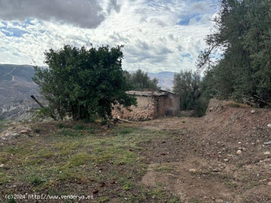 Suelo rústico en Venta en Canjayar Almería