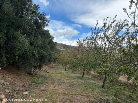 Suelo rústico en Venta en Canjayar Almería