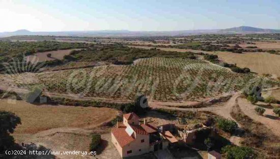 Casa-Chalet en Venta en Almansa Albacete