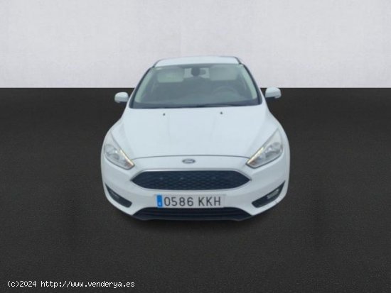 FORD Focus en venta en Pamplona/IruÃ±a (Navarra) - Pamplona/IruÃ±a