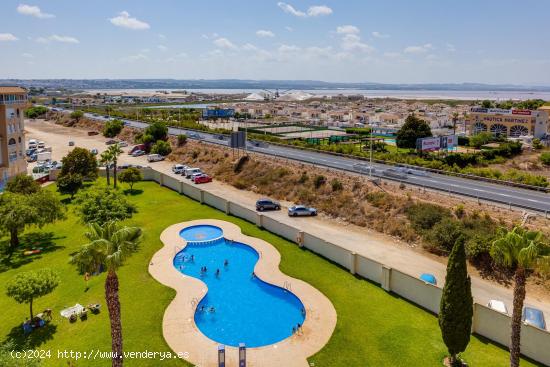  Apartamento con piscina en la Playa y el Centro - ALICANTE 