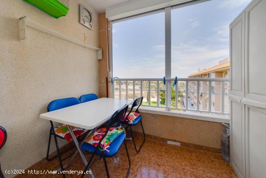 Apartamento con piscina en la Playa y el Centro - ALICANTE