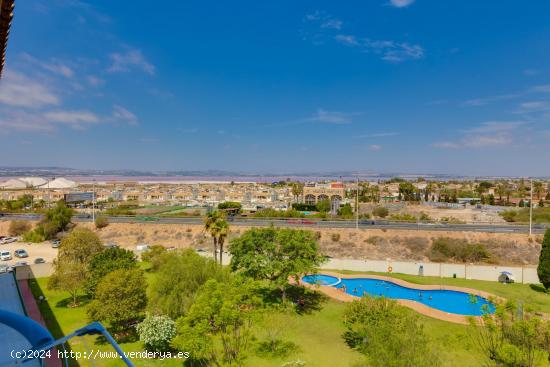 Apartamento con piscina en la Playa y el Centro - ALICANTE