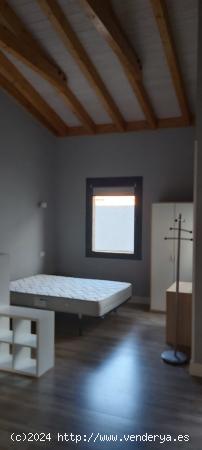 ALQUILER LOFT EN EL CENTRO - LEON