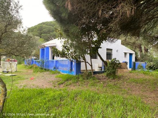 Casa de Campo entorno Rústico - CADIZ