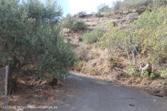 Casa cueva con terreno  en La Breña, Telde - LAS PALMAS