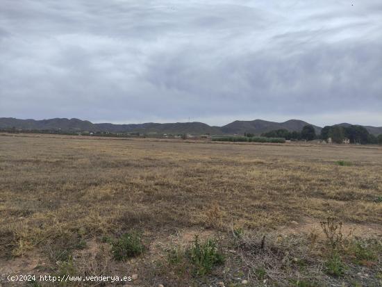 Parcela en carretera de Águilas - MURCIA