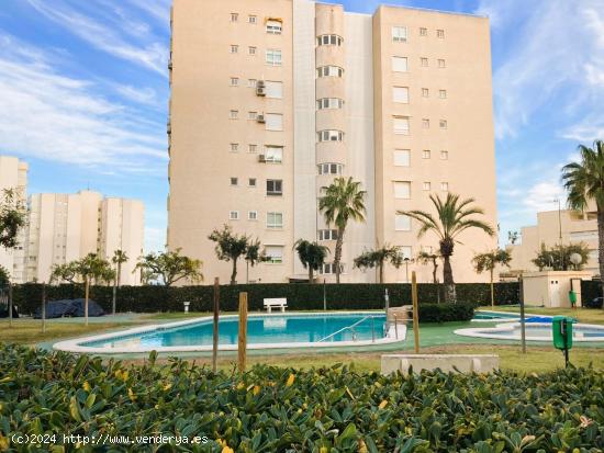 ¡¡¡DISFRUTE DE VIVIR A TAN SÓLO 150 METROS DEL MAR!!! - ALICANTE