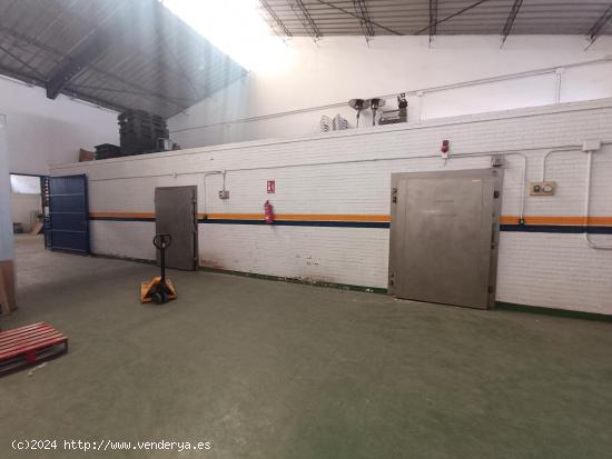 NAVE INDUSTRIAL EN VENTA EN ZONA NORTE - CADIZ