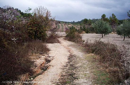 Se Vende en Benillup - ALICANTE