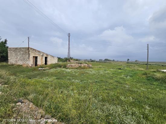 Finca rústica entre Amposta y La Rapita con caseta, luz y agua - TARRAGONA