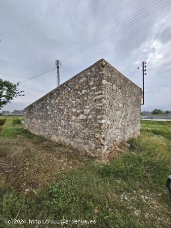 Finca rústica entre Amposta y La Rapita con caseta, luz y agua - TARRAGONA