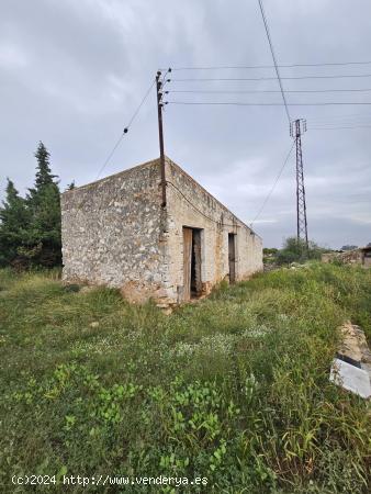 Finca rústica entre Amposta y La Rapita con caseta, luz y agua - TARRAGONA