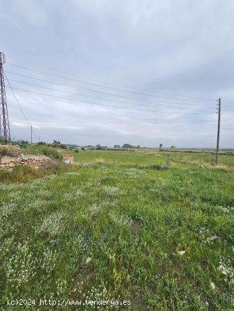 Finca rústica entre Amposta y La Rapita con caseta, luz y agua - TARRAGONA