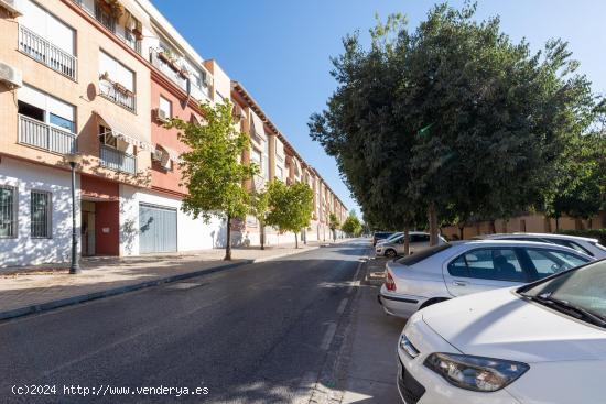 Piso de tres dormitorios, con garaje. - GRANADA