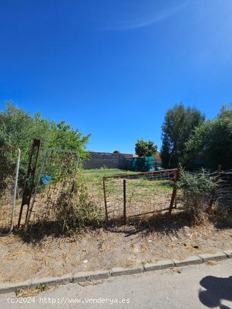 SUELO URBANO EN JIMENA DE LA FRONTERA - CADIZ