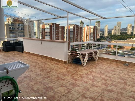  Atico con gran terraza en urbanizacion completa. Benidorm, playa Poniente - ALICANTE 