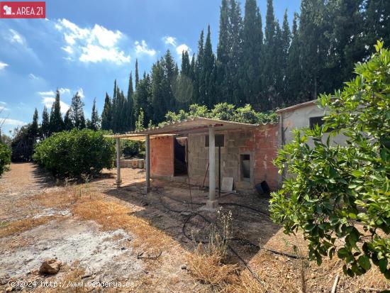 VENTA DE CAMPO NARANJOS CON CASITA EN VILLAMARCHANTE - VALENCIA