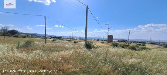 101- Lote de suelos urbanizables residenciales en Otero de Herreros (Segovia) - SEGOVIA