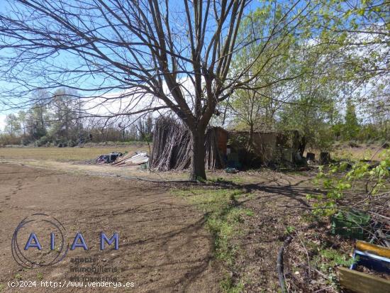 Finca rústica en Tordera ideal para agricultura - BARCELONA