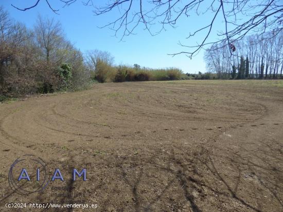 Finca rústica en Tordera ideal para agricultura - BARCELONA