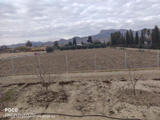 Parcela en Campillo - MURCIA