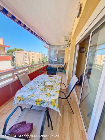 Apartamento junto al mar en Denia, a 400 m de la playa!! - ALICANTE