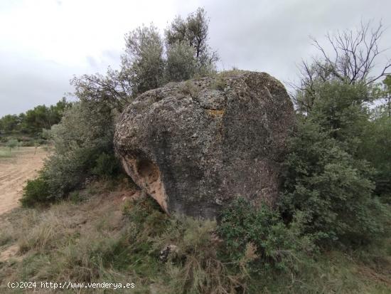 Finca rústica con olivos - TERUEL