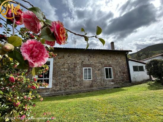 GRAN CASONA IDEAL PARA ALOJAMIENTO TURÍSTICO RURAL. - CANTABRIA