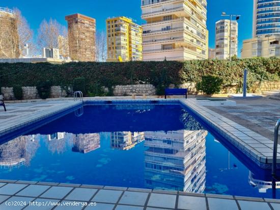 APARTAMENTO AMPLIO Y LUMINOSO A ESCASOS METROS DE LA PLAYA DE LEVANTE - ALICANTE