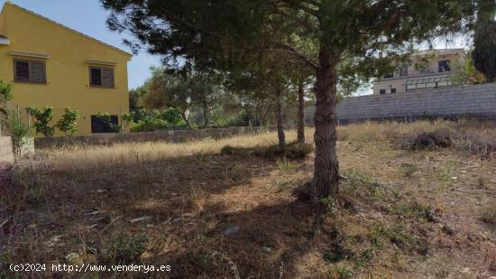 GRAN TERRENO URBANO EN LA URBANIZACIÓN PLA DE LES CLOTXES, BENIFAIÓ - VALENCIA