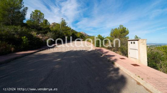 Terreno en exclusiva urbanizado en Llaurí - VALENCIA