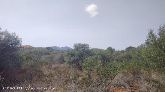 Exclusivo terreno en Porto Colom con vista mar - BALEARES