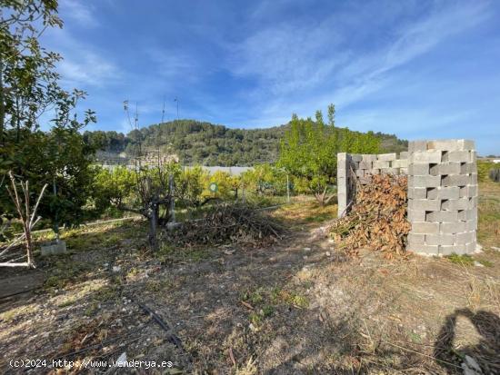 Terreno rústico en venta el L'Alquería de la Comtessa - VALENCIA