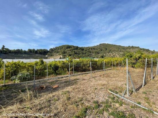 Terreno rústico en venta el L'Alquería de la Comtessa - VALENCIA