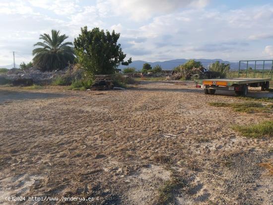 FANTASTICO TERRENO EN CREVILLENTE, ALICANTE, COSTA BLANCA SUR - ALICANTE