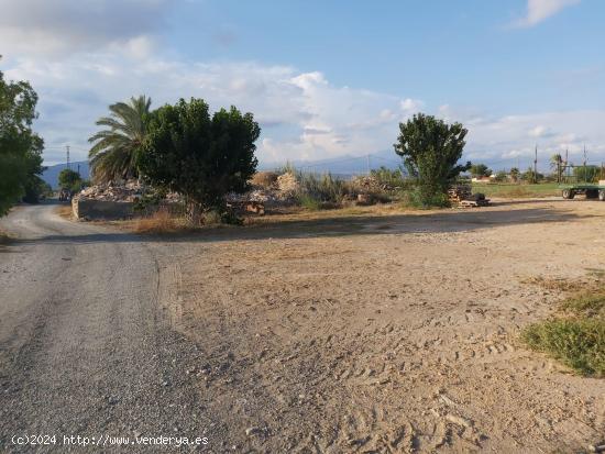 FANTASTICO TERRENO EN CREVILLENTE, ALICANTE, COSTA BLANCA SUR - ALICANTE