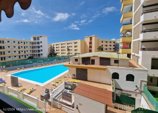  Apartamento en alquiler en Playa del Inglés - LAS PALMAS 