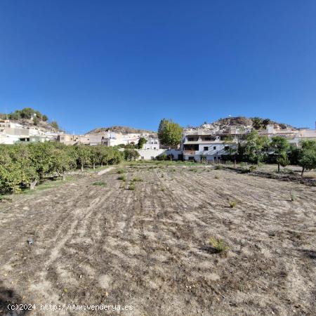 Construye tu Paraíso en Terque: Amplio Terreno Rural con Todas las Comodidades - ALMERIA